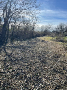 Photo de galerie - Broyage roncier en limite de propriété 