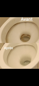 Photo de galerie - Rattrapage des toilettes 
