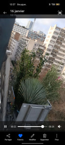 Photo de galerie - Paysagiste - Aménagement du jardin