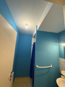 Photo de galerie - Peinture - Tapisserie