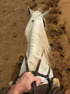 Photo de galerie - Petite balade à cheval sur la plage 