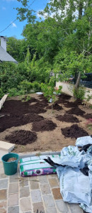 Photo de galerie - Posé de pelouse 