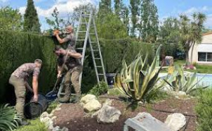 Photo de galerie - élaguer 