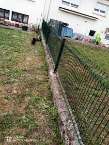 Photo de galerie - Paysagiste - Aménagement du jardin