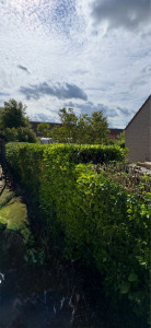 Photo de galerie - Variation de hauteur 