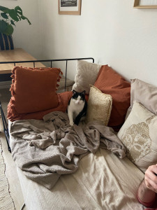 Photo de galerie - Boulbi qui patoune 