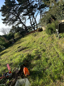 Photo de galerie - Jardin avant le passage de la tondeuse et le taillage des petits arbustes