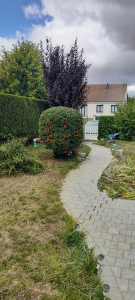 Photo de galerie - Tonte de pelouse - Débroussaillage