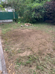 Photo de galerie - Après (évacuation de terre)