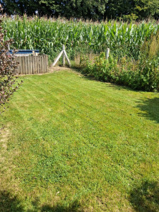 Photo de galerie - Tonte