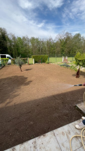 Photo de galerie - Gazon semi