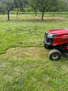 Photo de galerie - Tonte de pelouse avec tracteur tondeuse