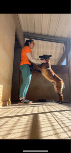 Photo de galerie - Bénévole à la spa 