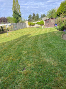 Photo de galerie - Tonte de gazon 