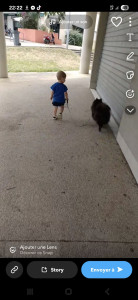 Photo de galerie - Petite promenade avec loulou. Les enfants sont investis