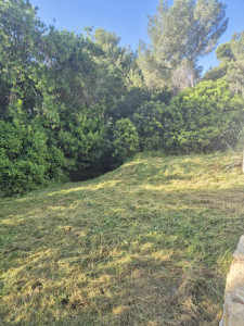 Photo de galerie - Tonte de pelouse - Débroussaillage