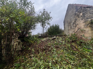 Photo de galerie - Fin d élagage et abattage d arbre 