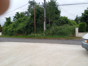 Photo de galerie - Nettoyage de parcelles 