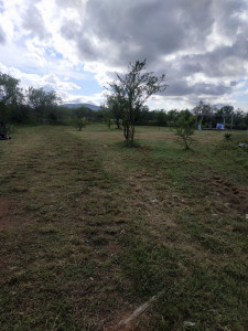 Photo de galerie - Nettoyage, débroussaillage, élagage, taille haie  avec clôture et mise en place d'un portail pour un terrain de 2 hectares  
