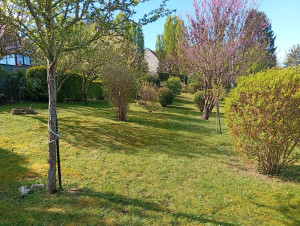 Photo de galerie - Tonte de jardin 