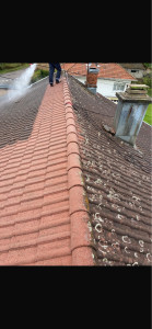 Photo de galerie - Montre-moi un nettoyage de tuiles