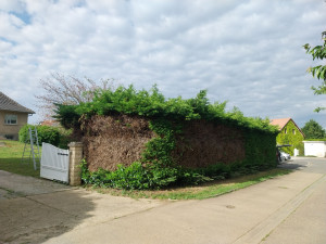 Photo de galerie - Taille de haies et d'arbustes