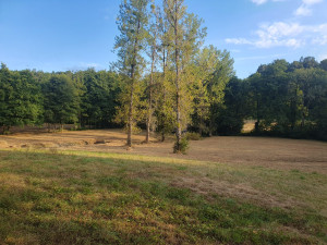 Photo de galerie - 5000 m² d'herbe tondu est les tours debrousailler. 