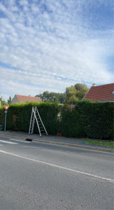 Photo de galerie - Client, satisfait