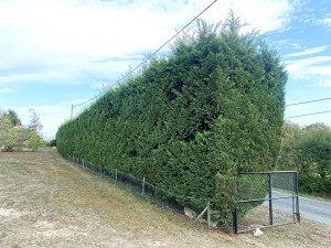 Photo de galerie - .