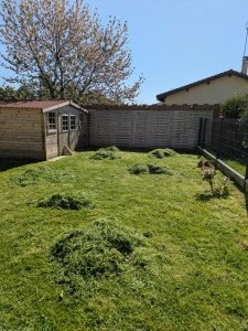 Photo de galerie - Tonte de printemps, débroussailleuse et ramassage