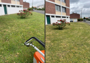 Photo de galerie - Petite tonte 