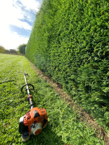 Photo de galerie - Fetyage Paysage – chaque coupe compte.