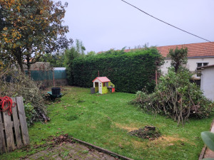 Photo de galerie - Elagage et coupe d'arbres