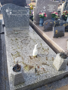 Photo de galerie - Bricolage et multi services