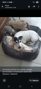 Photo de galerie - Zip à la sieste avec ses doudous


