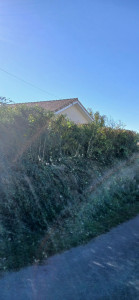 Photo de galerie - Après 