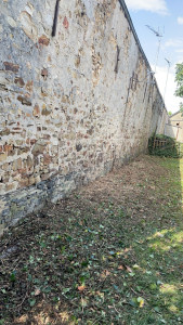 Photo de galerie - Défrichage du mur après 