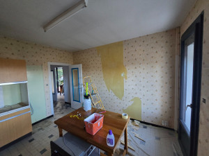 Photo de galerie - Rénovation cuisine pendant travaux