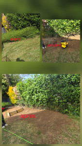 Photo de galerie - Arrachage haie et  resemence de pelouse. plus préparation d'un petit jardiné. 