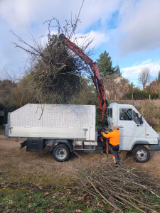 Photo de galerie - Elagage et coupe d'arbres