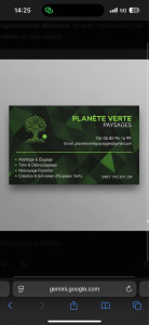 Photo de galerie - Elagage et coupe d'arbres