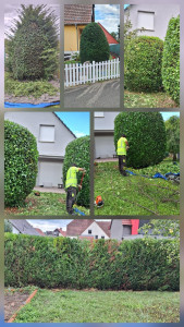 Photo de galerie - élagage