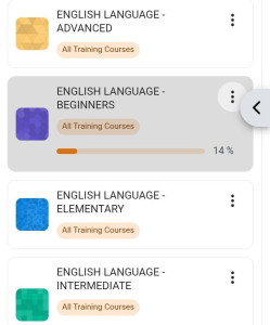 Photo de galerie - Cours d'anglais en ligne sur une plateforme conçu par moi.