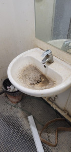 Photo de galerie - Ménage