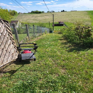 Photo de galerie - Tonte de pelouse - Débroussaillage