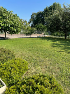 Photo de galerie - Tonte de jardin ? 