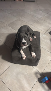 Photo de galerie - Bébé staff