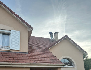 Photo de galerie - Démoussage et nettoyage de gouttière