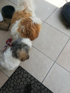 Photo de galerie - Oasis 7 ans et utopie 2 ans 