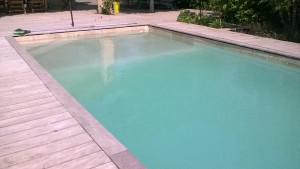 Photo de galerie - Suite à intervention une piscine saturée en phosphates